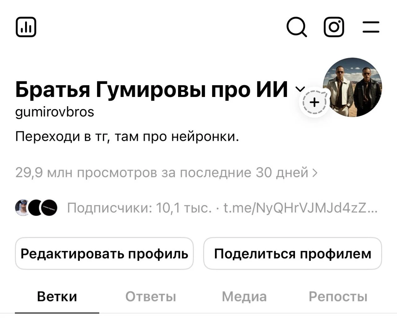 Профиль @gumirovbros: 29,9 млн просмотров за 30 дней, 10,1 тыс. подписчиков